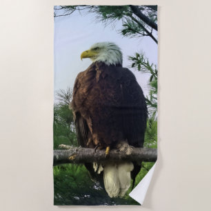 Serviette De Plage Aigle mûr perché dans l'arbre À feuillage persista