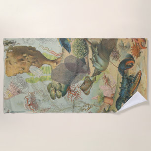 Serviette De Plage Biologie marine rétro vintage océan poissons