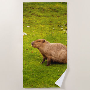 Serviette De Plage Capybara