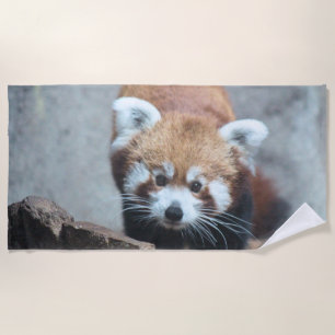 Serviette De Plage Cute