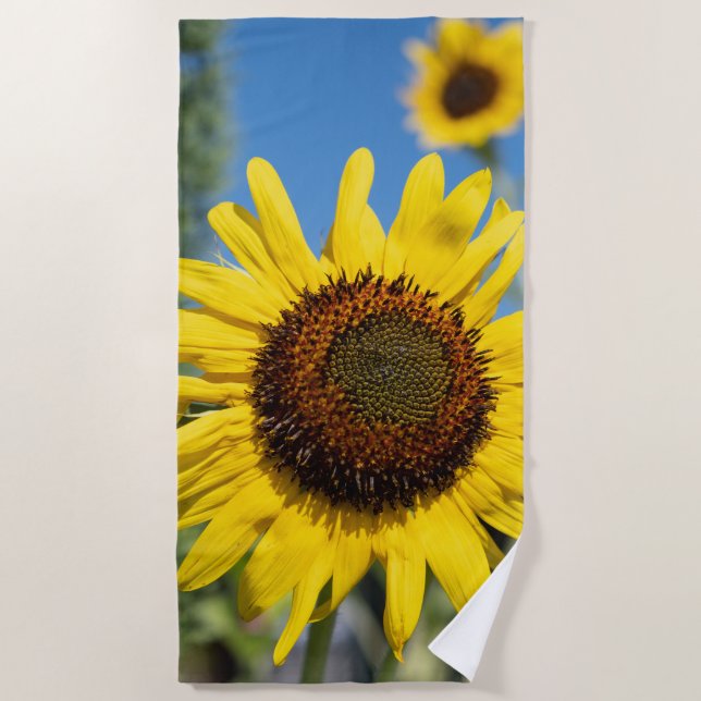 Serviette De Plage Fleurs de soleil (Devant)