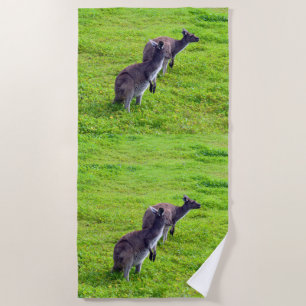 Serviette De Plage Horizons sans limites : Kangaroos gris sur la plai
