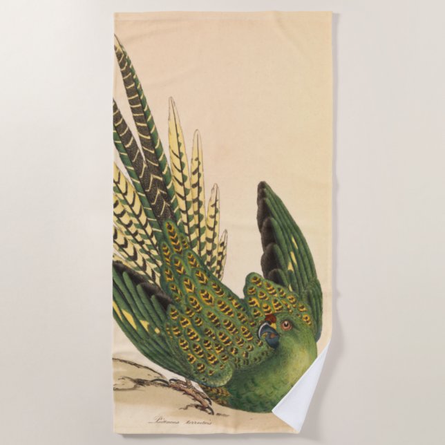Serviette De Plage James Sowerby Parrot terrestre, Psittacus terrestr (Devant)