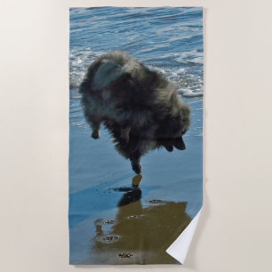 Serviette De Plage Keeshond Ballet Photographie - Joli chien d'origin