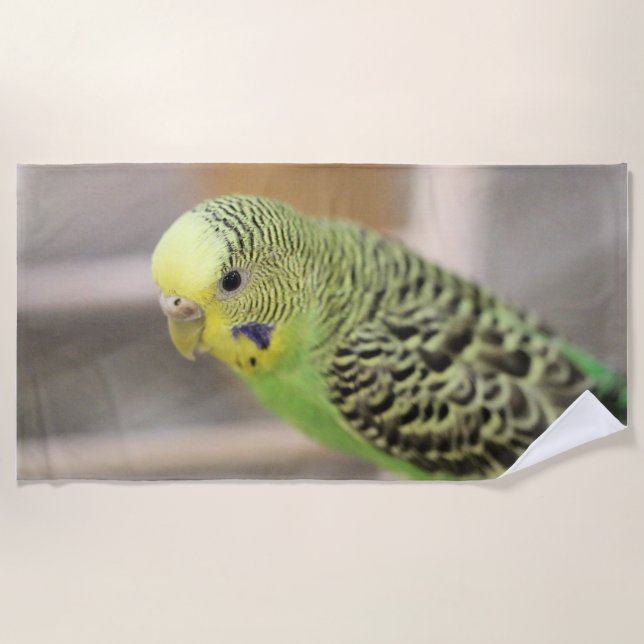 Serviette De Plage Kiwi (Devant)