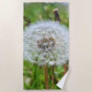 Serviette De Plage Parfait Pissenlit – Photographie Macro Botanique