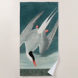 Serviette De Plage Peinture de la faune de la sterne de l'Arctique Au