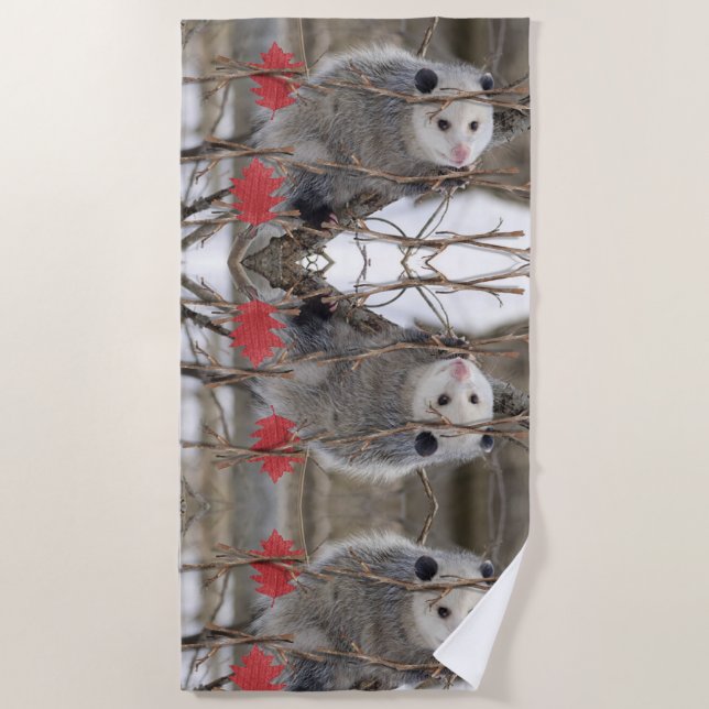 Serviette De Plage Plage Serviette Opossum Nature (Devant)