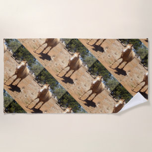 Serviette De Plage Salutation Palomino Horse,