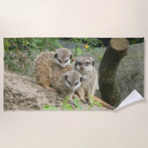 Serviette de plage trois mignonnes Meerkat