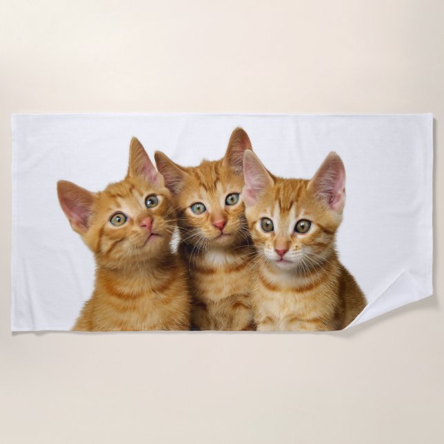 Serviette De Plage Trois mignons Ginger Chat Kittens amis Tête Photo, (Devant)