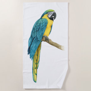 Serviette De Plage Un Macaw Turquoise