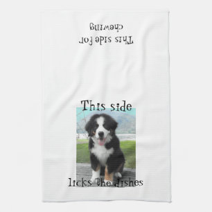 Serviette de plat de chien de montagne de Bernese
