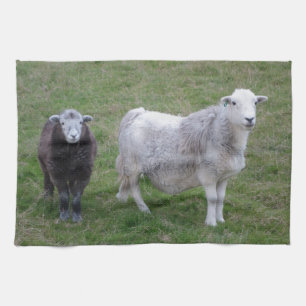 Serviette de thé de brebis et d'agneau de Herdwic