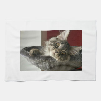 Serviette de thé de chaton de ragondin du Maine