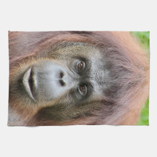 Serviette de thé d'orang-outan