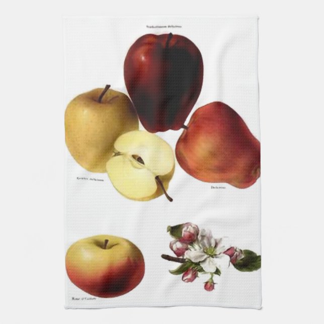 Serviette de thé vintage pomme (Vertical)