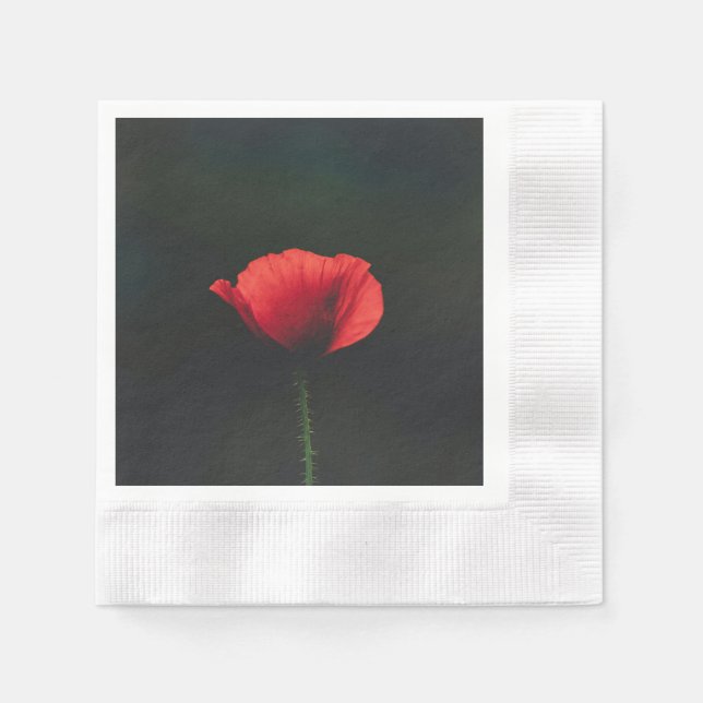 Serviette: Ein gebräuchlicher Alternativbegriff.Ta Serviette (Vorderseite)
