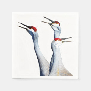 Serviette En Papier 3 Grues Sandhill Papier photo Naples
