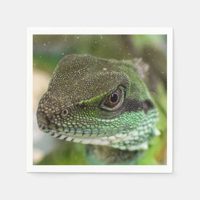 Serviette En Papier Agama, lézard (Devant)