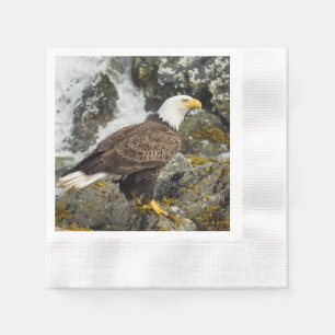 Serviette En Papier Aigle à tête blanche