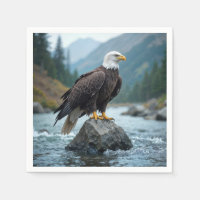 Aigle de Bald sur un rocher