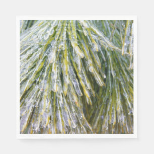 Serviette En Papier Aiguilles de pin recouvert de glace Botanique hive