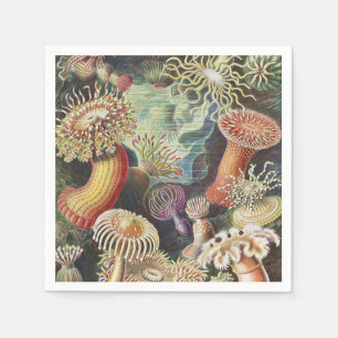 Serviette En Papier Anémones de mer, Actiniae Seeanemonen Ernst Haecke