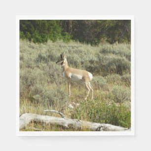 Serviette En Papier Antilocapre dans le parc national de Grand Teton