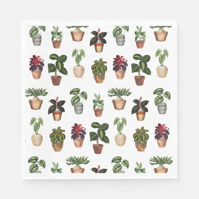 Serviette En Papier Aquarelle Pots Plante Motif Pots en terre cuite (Devant)