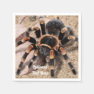 Serviette En Papier Araignée de Tarantula au genou rouge mexicain