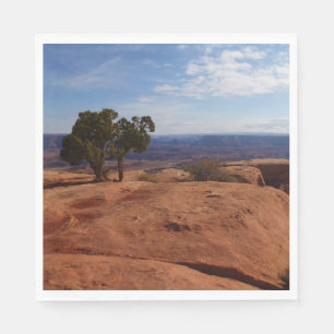 Serviette En Papier Arbre hors des rochers rouges I à Canyonlands