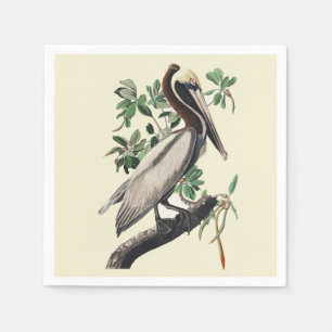 Serviette En Papier Art Vintage Audubon Pélican Brun Oiseau de Rivage