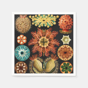 Serviette En Papier Ascidiae, Seescheiden Marine Life par Ernst Haecke
