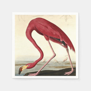 Serviette En Papier Audubon American Flamme John James Audubon