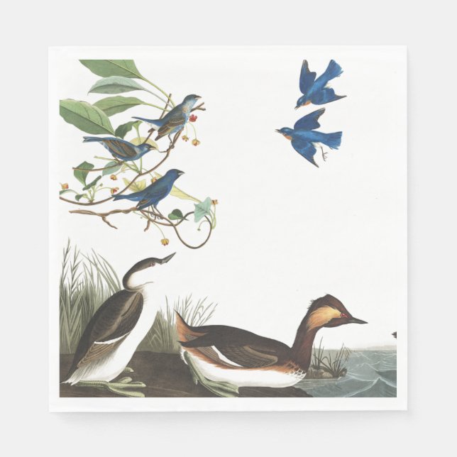 Serviette En Papier Audubon Collage Oiseaux Livre de la faune (Devant)