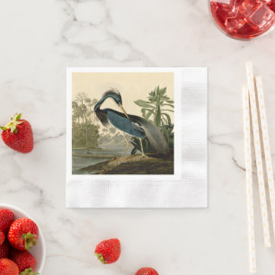 Serviette En Papier Audubon Héron de Louisiane Oiseaux Amérique Art