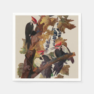 Serviette En Papier Audubon Peinture d'Oiseaux Pic Pilé
