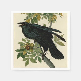 Serviette En Papier Audubon Raven Oiseau classique