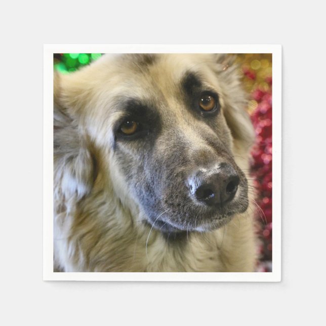 Serviette En Papier Aww (Devant)