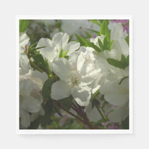 Serviette En Papier Azalées Blancs Solaires Belles Fleurs De Printemps