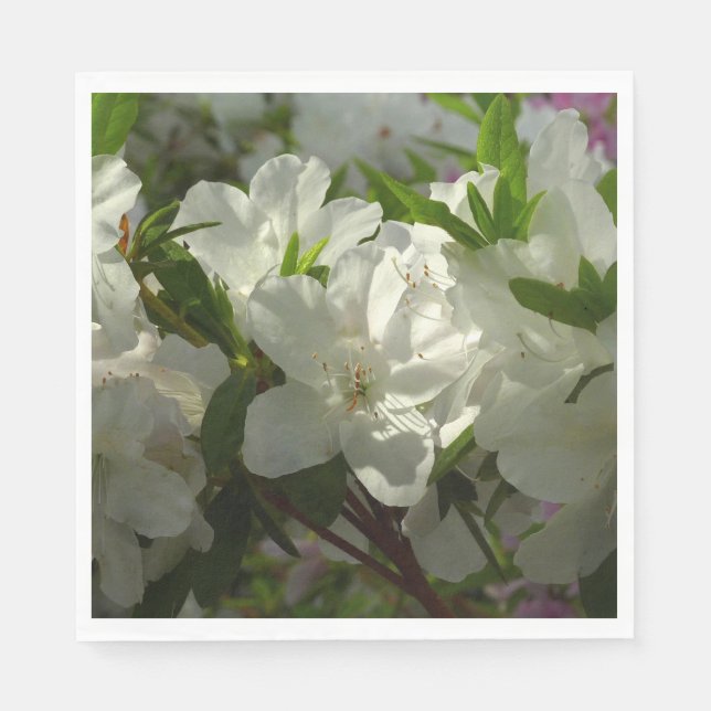 Serviette En Papier Azalées Blancs Solaires Belles Fleurs De Printemps (Devant)