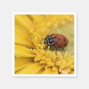 Serviette En Papier Bague