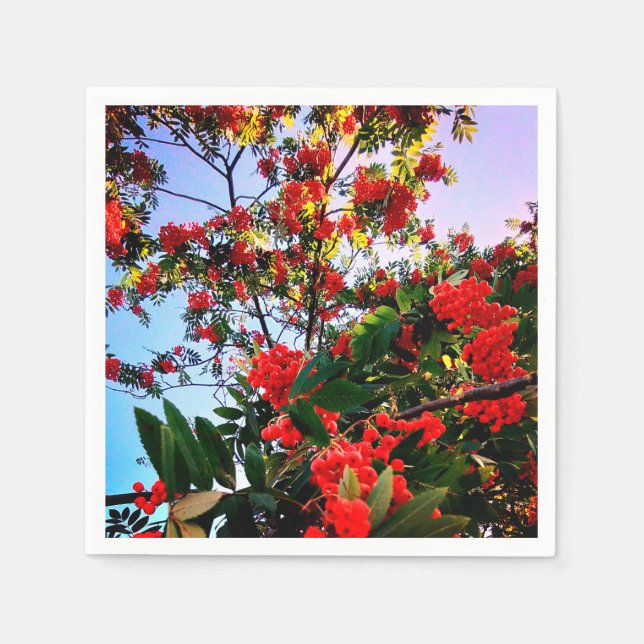 Serviette En Papier Baies rouges (Devant)