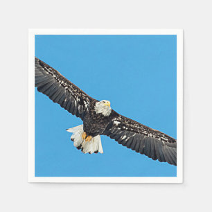Serviette En Papier Bald Eagle en vol