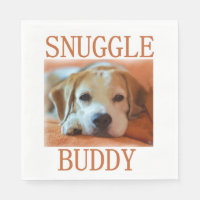 beagle petit pote