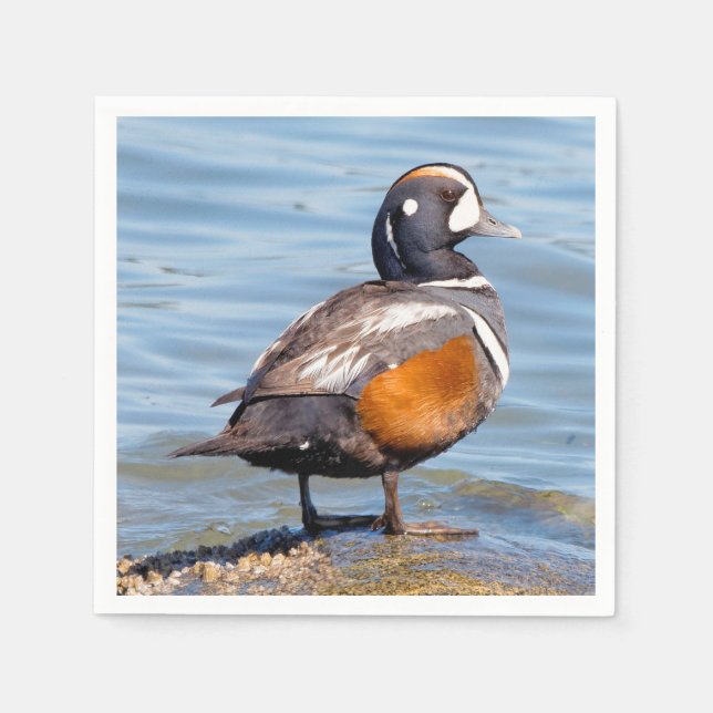 Serviette En Papier Beau canard arlequin sur le rocher (Devant)