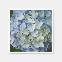 Beautiful Blue Hydrangea Flowers