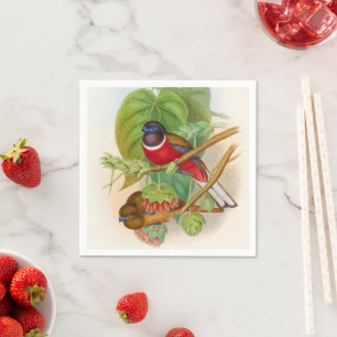 Serviette En Papier Beaux Oiseaux Colorful Illustration Vintage