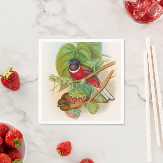 Serviette En Papier Beaux Oiseaux Colorful Illustration Vintage (En situation)